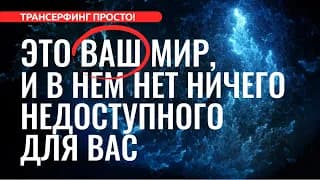НЕОБХОДИМО ПОЗВОЛИТЬ СЕБЕ ИМЕТЬ [2023] Трансерфинг